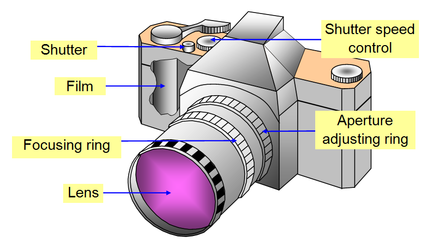 Structure Of lens