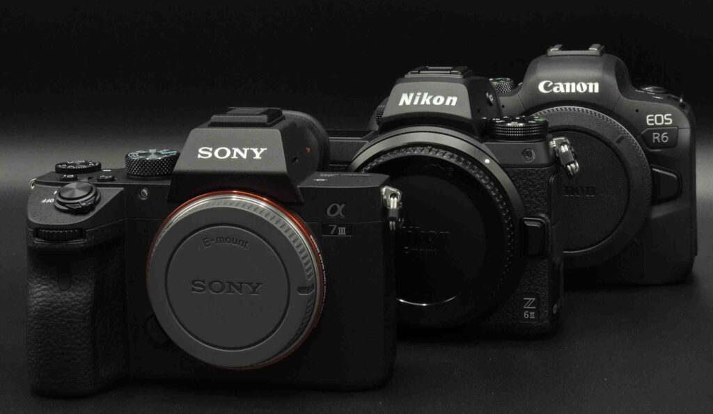 Advantages Of Mirrorless Cameras For Pet Videography