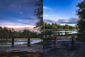 DSLR Better Than A Phone Camera