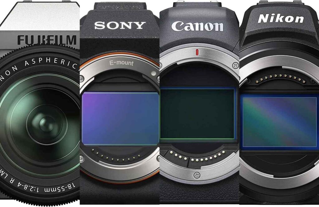 Selection Of Right Mirrorless Camera For Your Pet Videography